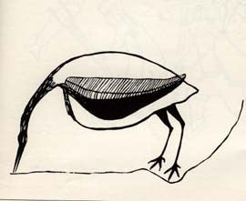 Crane