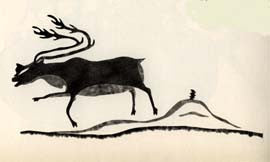 Fat Caribou