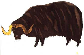 Oomingmug, the Musk Ox