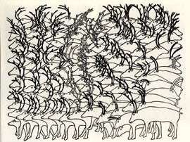 Hundreds and Hundreds, Herds of Caribou