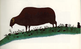 Muskox Grazing on Green Grass