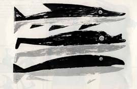 Three Fish