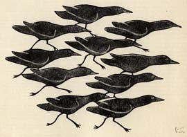 Ravens