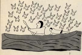 Gulls Follow The Fisherman