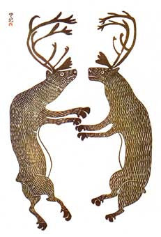 Two Caribou
