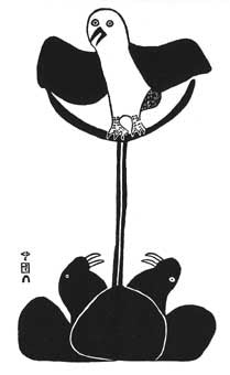 Owl and Walrus