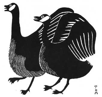 Two Geese
