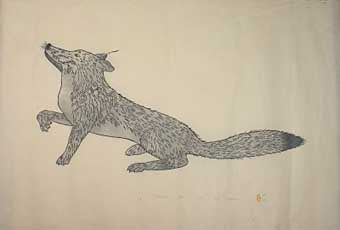 Silver Fox