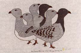 Mid Summer Ptarmigan