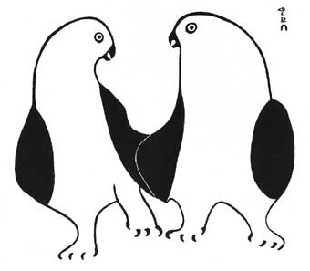Birds Conversing