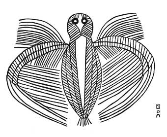 The Owl