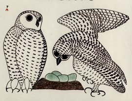 Arctic Owls and Nest