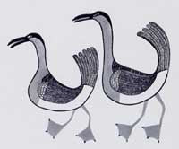 Two Birds Walking