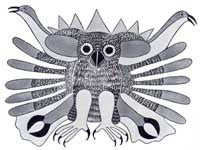 The Owl Rules the Summertime