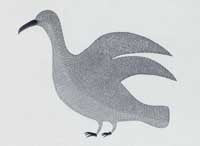 Large Bird in Sunlight