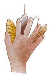 Things in the Hand