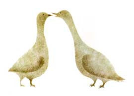 Birds in Love