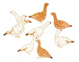 Many Ptarmigans