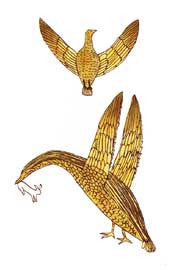 Birds Hunting