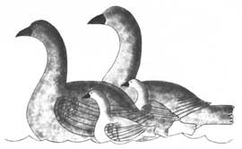 Geese