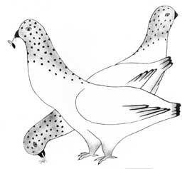 The Ptarmigans