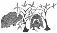 Grazing Musk'oxen