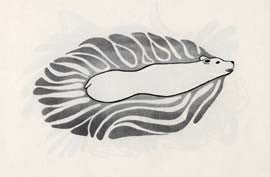 Swimming Bear