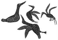 Two Terns Fighting Two Loons