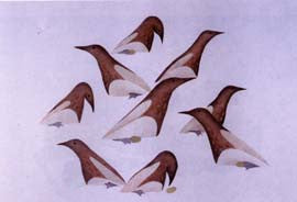 Shore Birds