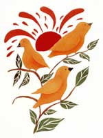 Birds of Summer