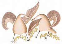 Two Cranes