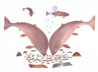 At the Spawning Ground