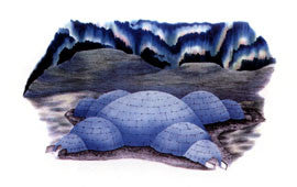 Kalgik (Communal Igloo)