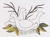 Ptarmigan in Late Summer