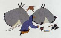 Summer Camp