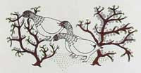 Ptarmigan in Willows