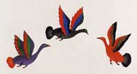 Three Birds