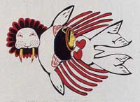 Kidnapped by a Walrus