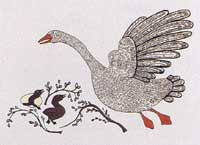 Hatching Swans