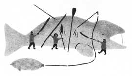Cutting Up a Whale
