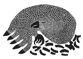 Sleeping Ptarmigan