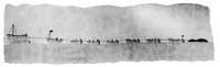 Whaling in the Cumberland Sound: 1930's