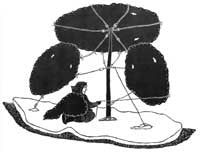 Marooned on an Ice Floe