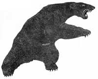 This Bear was Once a Mighty Man