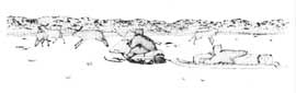 Caribou Chase