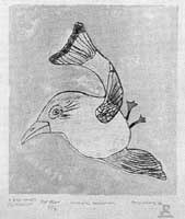 Little Bird