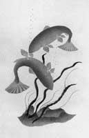 The Fish in the Sea
