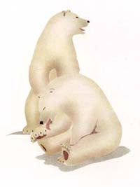 Nanook