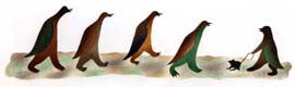 Bird Walking