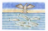 Surprised by Whales